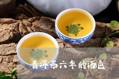 普洱茶六年的汤色/2023033046282