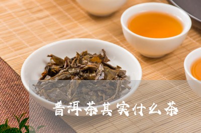 普洱茶其实什么茶/2023031752926