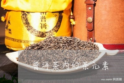 普洱茶内的茶元素/2023031637471