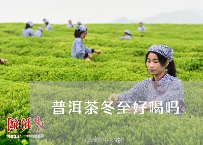 普洱茶冬至好喝吗/2023033141382