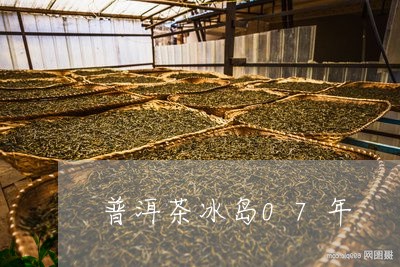 普洱茶冰岛07年/2023031717573