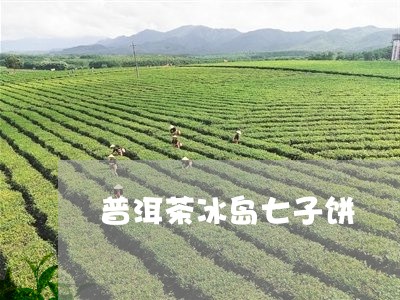 普洱茶冰岛七子饼/2023041252726