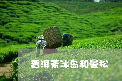 普洱茶冰岛和曼松/2023041390603