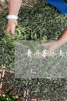 普洱茶冰岛最好吗/2023041377491