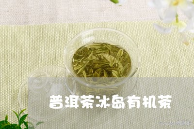 普洱茶冰岛有机茶/2023041340493