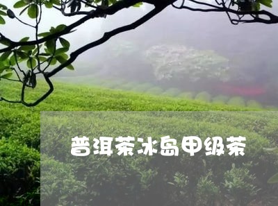 普洱茶冰岛甲级茶/2023031713845