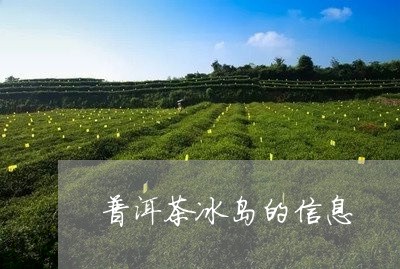 普洱茶冰岛的信息/2023041342016