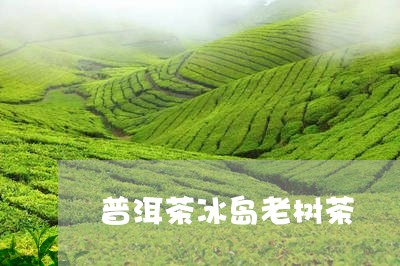 普洱茶冰岛老树茶/2023031754969