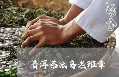 普洱茶冰岛老班章/2023031730581