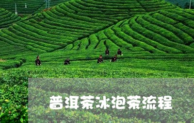 普洱茶冰泡茶流程/2023041210614