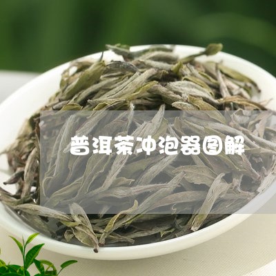 普洱茶冲泡器图解/2023041250535