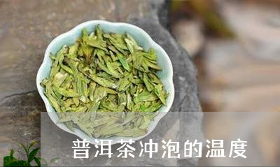 普洱茶冲泡的温度/2023031814946