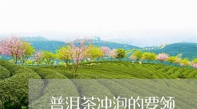 普洱茶冲泡的要领/2023031785179