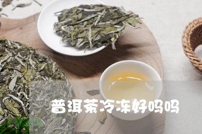 普洱茶冷冻好吗吗/2023041286481