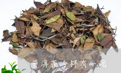 普洱茶冷杯有一团/2023033083646