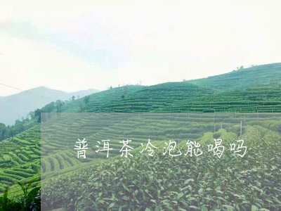 普洱茶冷泡能喝吗/2023033158363