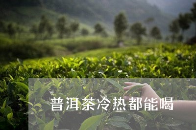 普洱茶冷热都能喝/2023040967692