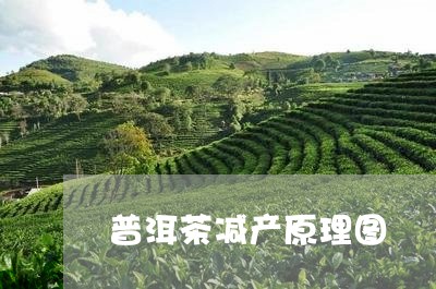 普洱茶减产原理图/2023031695058