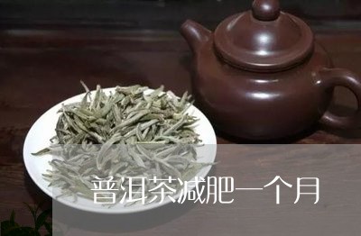 普洱茶减肥一个月/2023031659682