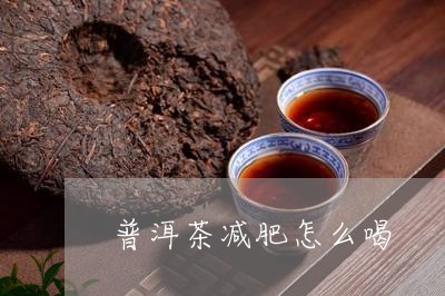 普洱茶减肥怎么喝/2023041219353