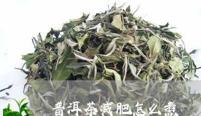 普洱茶减肥怎么煮/2023041028251