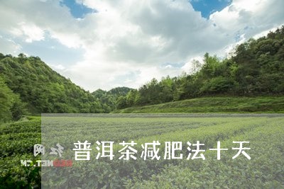 普洱茶减肥法十天/2023033046270