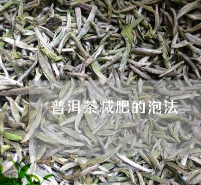 普洱茶减肥的泡法/2023041336247