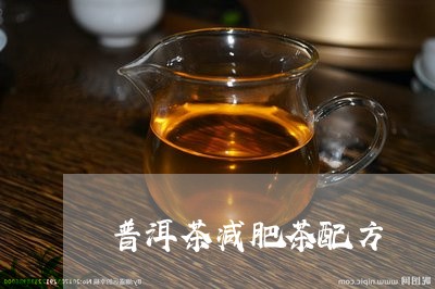 普洱茶减肥茶配方/2023041130584