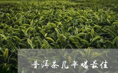 普洱茶几年喝最佳/2023031783935