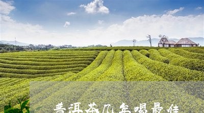 普洱茶几年喝最佳/2023041349491