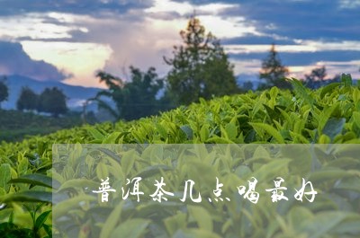 普洱茶几点喝最好/2023033090402