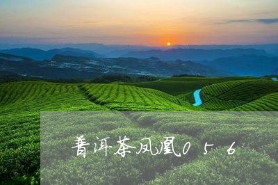 普洱茶凤凰056/2023041006159