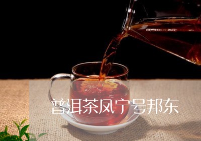 普洱茶凤宁号邦东/2023033062938