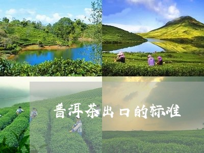 普洱茶出口的标准/2023041092738