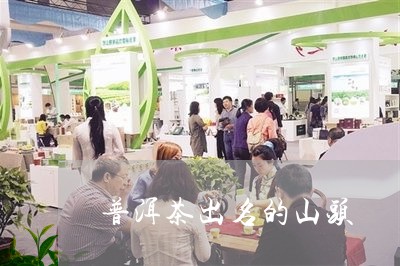 普洱茶出名的山头/2023031897350