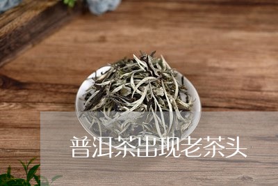 普洱茶出现老茶头/2023041174914