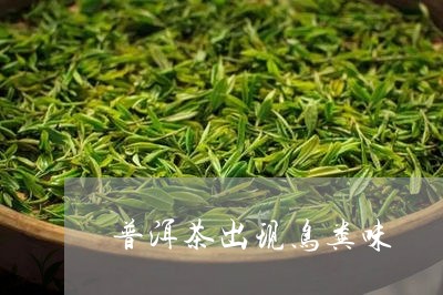 普洱茶出现鸟粪味/2023031714038