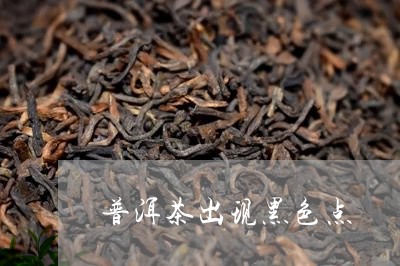 普洱茶出现黑色点/2023041173714