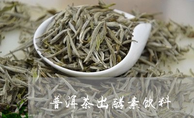 普洱茶出酵素饮料/2023041092048