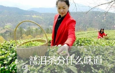 普洱茶分什么味道/2023040903914