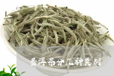 普洱茶分几种类别/2023041338483