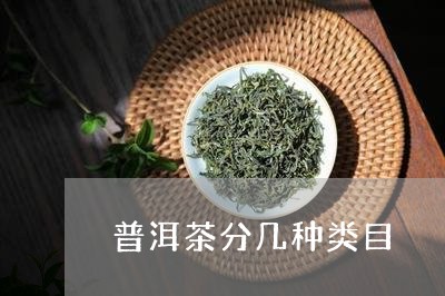 普洱茶分几种类目/2023041340472