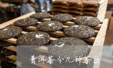 普洱茶分几种茶区/2023041172628