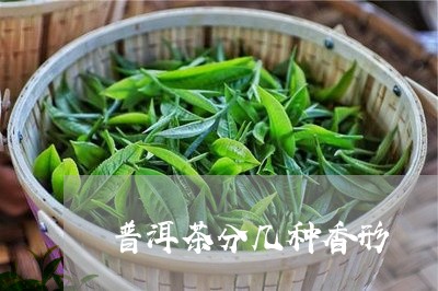 普洱茶分几种香形/2023041369506