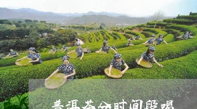 普洱茶分时间段喝/2023031893817