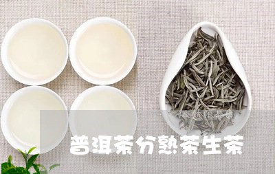 普洱茶分熟茶生茶/2023041131714