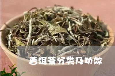 普洱茶分类及功效/2023031840693