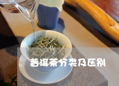 普洱茶分类及区别/2023040917361