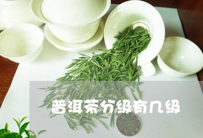 普洱茶分级有几级/2023031788262