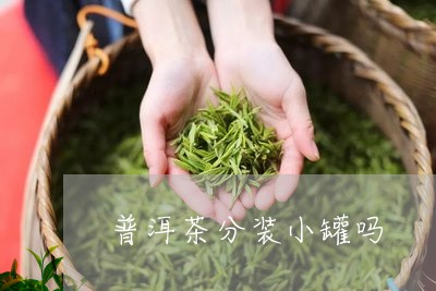 普洱茶分装小罐吗/2023041386140